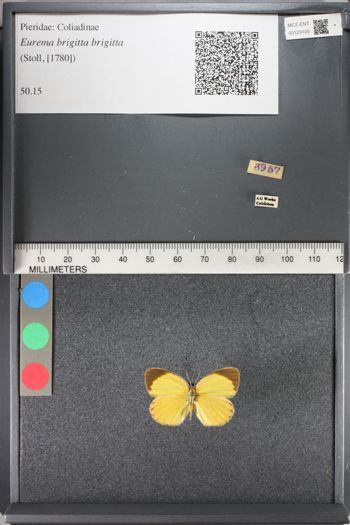 Media type: image;   Entomology 123105
